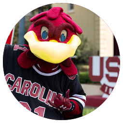 Cocky the mascot smiling and doing the spurs up hand sign