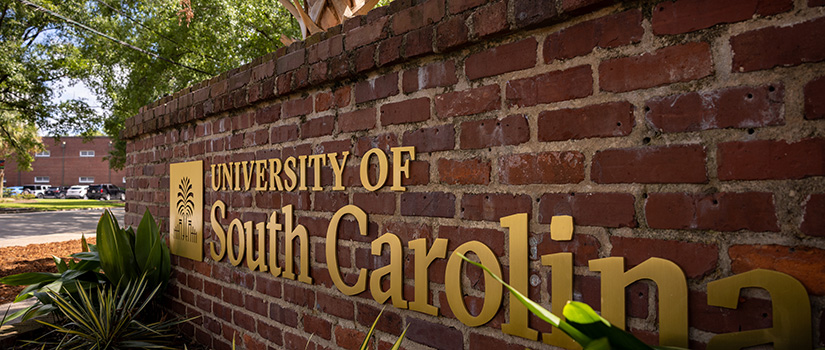 university of South Carolina college of nursing