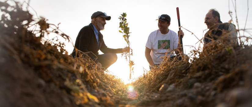 Farmers and scientists looking at plans