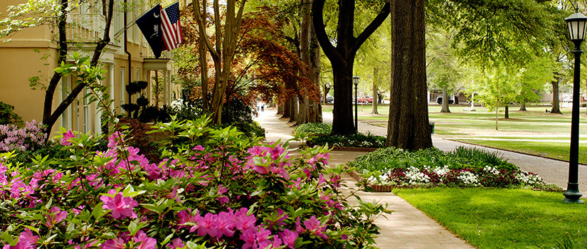 Flowers on the University of South Carolina horseshoe quad