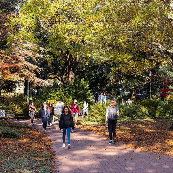 Students walk along brick pathway on campus during fall